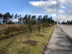 VENTA TERRENO INDUSTRIAL 9954M2 ITULCACHI