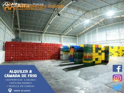 Se alquila Bodega con Cámaras de frio- 1.551m2 útiles  - Nor