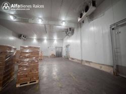 Se alquila Bodega con Cámaras de frio- 1.551m2 útiles  - Nor