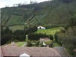 VENDO TERRENO INDUSTRIAL 18600M2 CALACALI