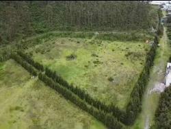VENDO TERRENO INDUSTRIAL 18600M2 CALACALI