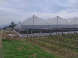INVERSIÓN ÚNICA EN TABABELA TERRENOS PLANOS 50000m2