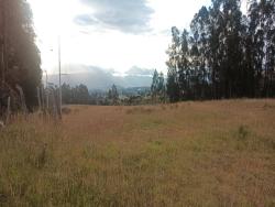 OPORTUNIDAD ÚNICA: TERRENO 61,174m2 EN VENTA