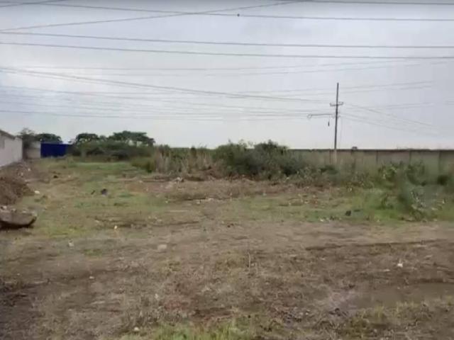 #4696 - Terreno para Venta en Samborondón - G