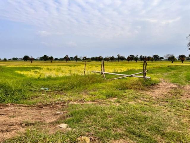 #5205 - Terreno para Venta en Samborondón - G