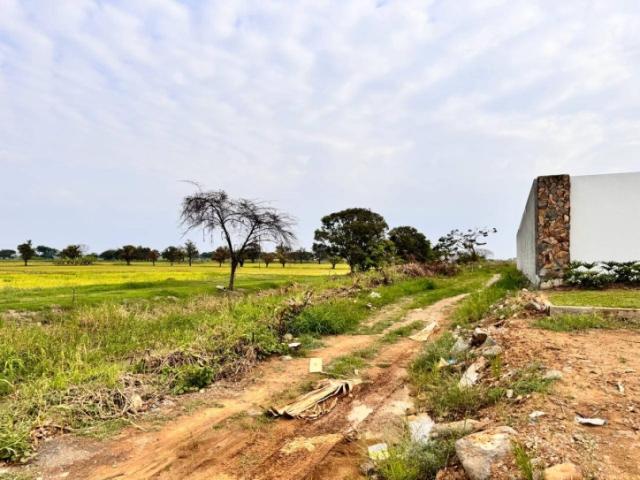 #5205 - Terreno para Venta en Samborondón - G